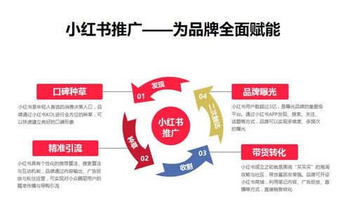 杭州哇鷗科技 小紅書運營種草推廣策略全解析，建議收藏的技術推廣服務指南