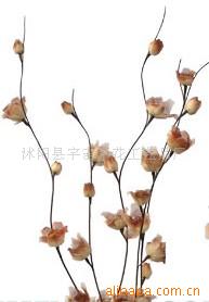 供應葉脈花、龍柳、三叉木、龍桑、蘆葦專業指南