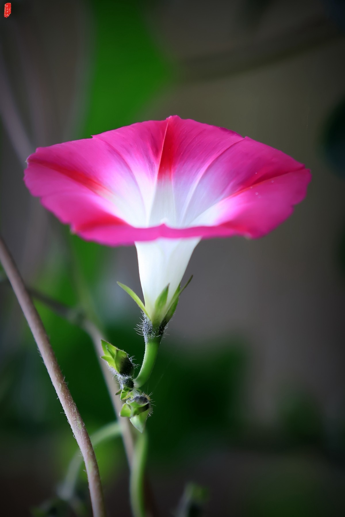 牽?；ㄐ∮? />
</span>
<span id=