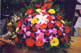 從鮮花用品到機(jī)械設(shè)備 多元業(yè)務(wù)的創(chuàng)新融合與市場(chǎng)展示