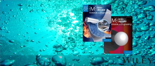 北京化工大學(xué)先進(jìn)彈性體材料研究中心岳冬梅教授mme 生物基自交聯(lián)體溫響應(yīng)杜仲膠 sio2形狀記憶復(fù)合材料