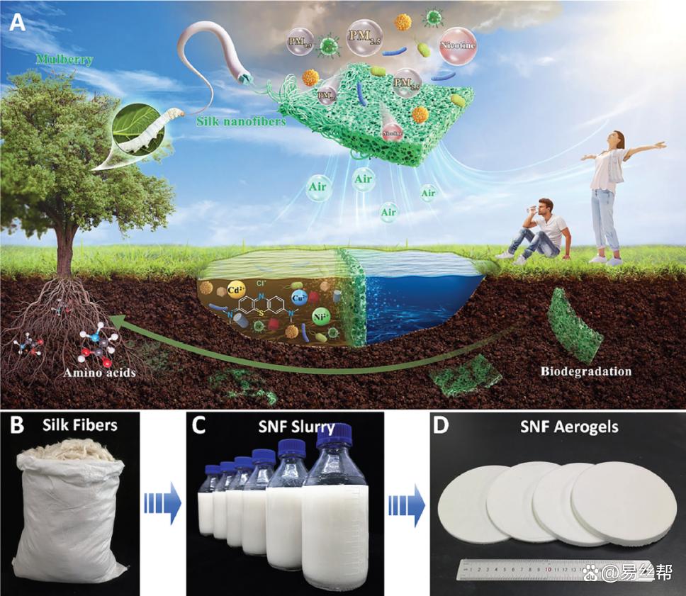 基于蠶絲納米纖維的多功能可生物降解化工產(chǎn)品技術(shù)研發(fā)
